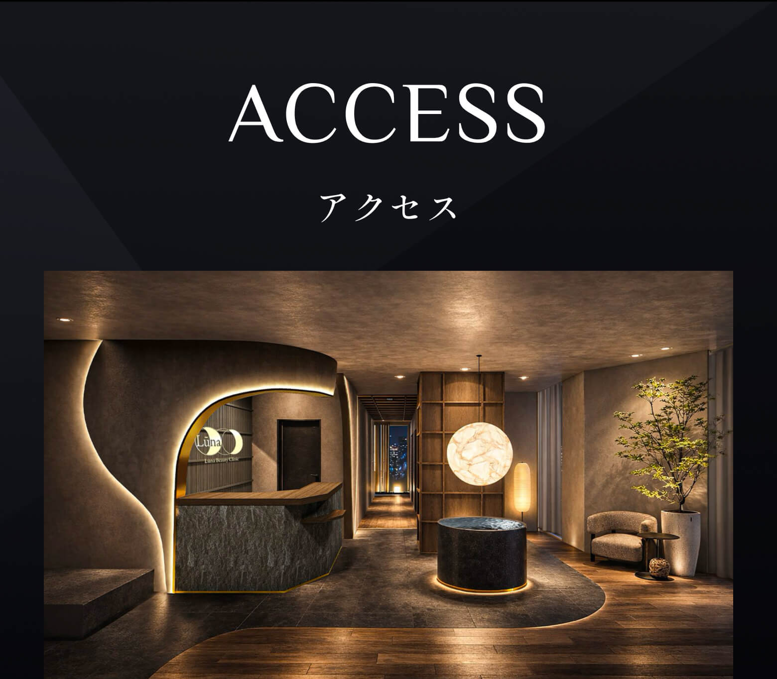 ACCESS